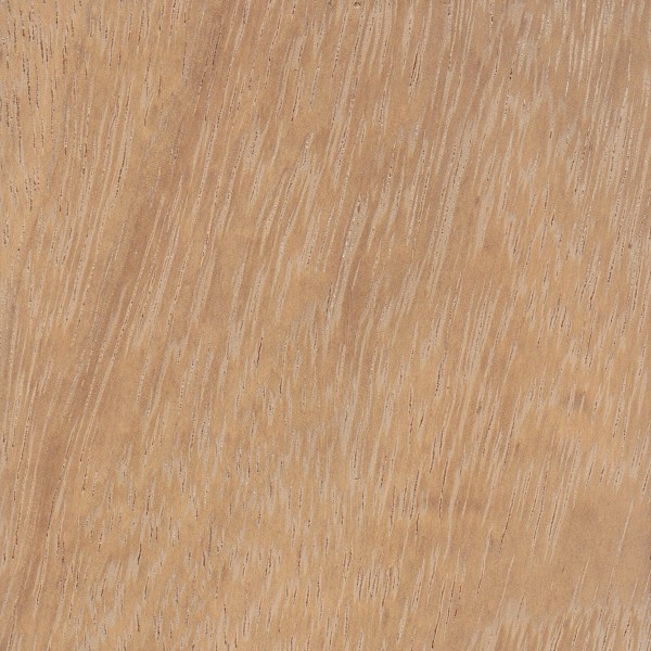iroko wood
