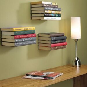 Invisible Types bookshelf