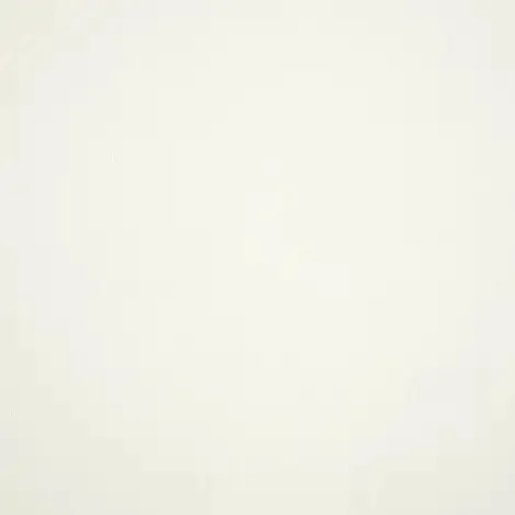 Sunbrella Canvas White